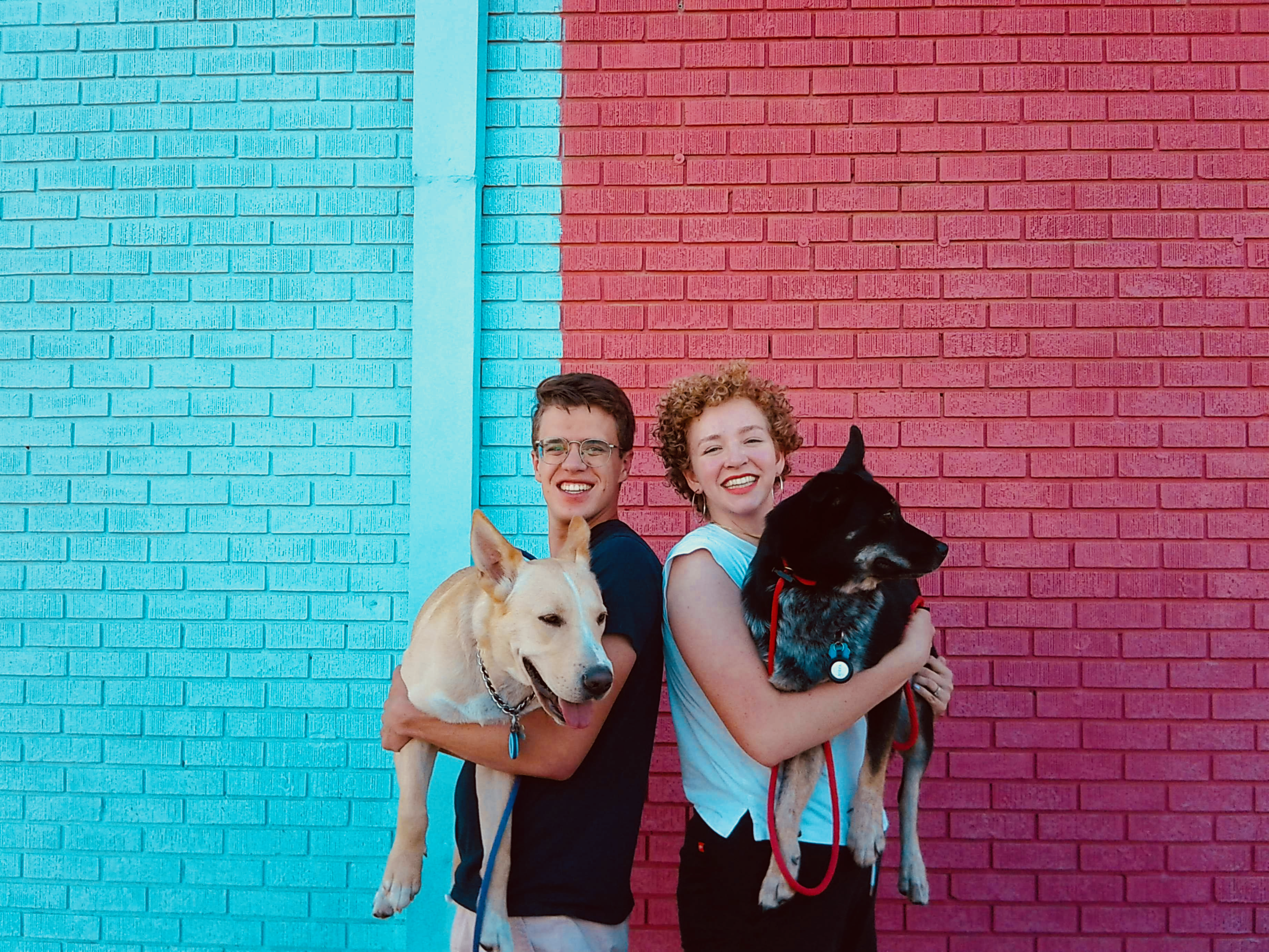 A photo of my family - two dogs, myself, and my husband